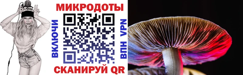 Псилоцибиновые грибы Cubensis  Буй 